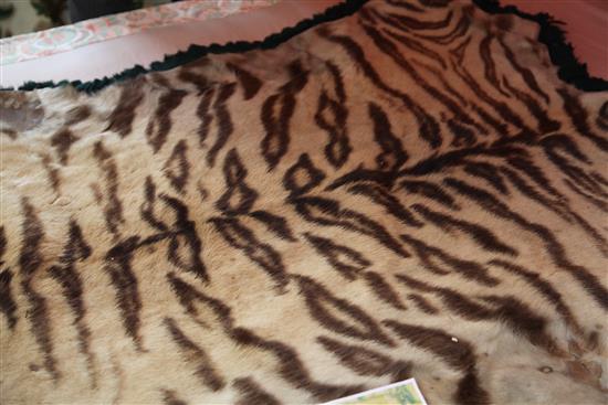 A tiger skin rug